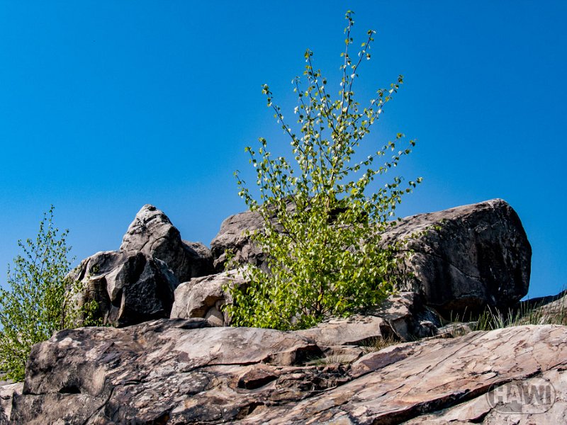 teufelsmauer-blankenburg_10.jpg