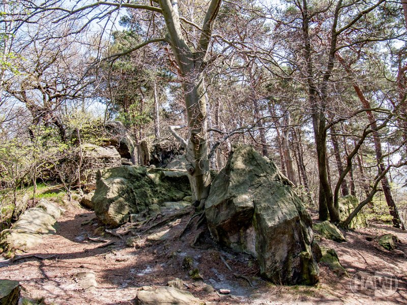 teufelsmauer-blankenburg_36.jpg