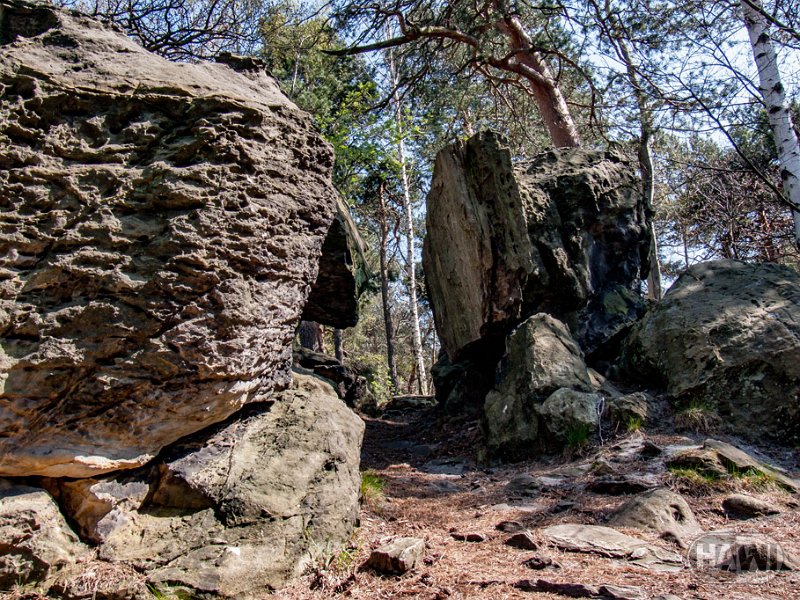 teufelsmauer-blankenburg_37.jpg